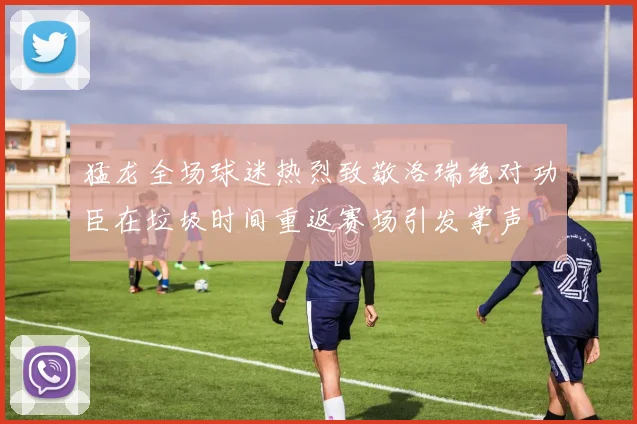 猛龙全场球迷热烈致敬洛瑞绝对功臣在垃圾时间重返赛场引发掌声