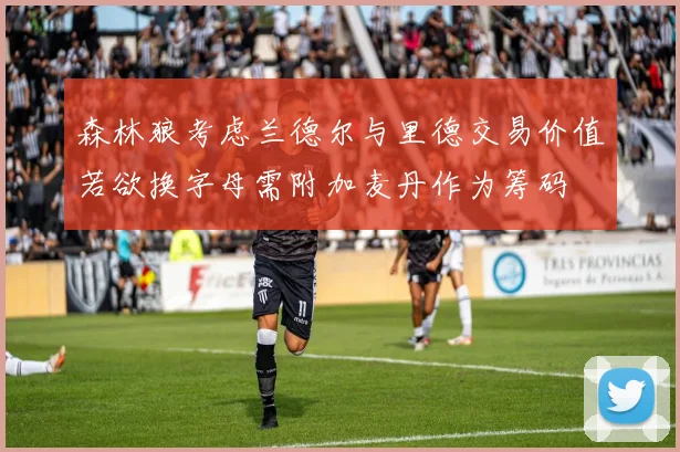 森林狼考虑兰德尔与里德交易价值若欲换字母需附加麦丹作为筹码