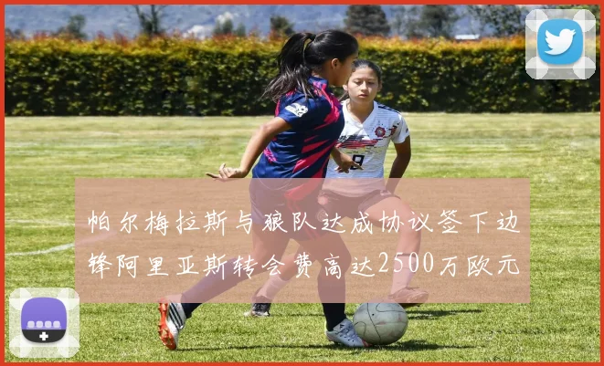 帕尔梅拉斯与狼队达成协议签下边锋阿里亚斯转会费高达2500万欧元