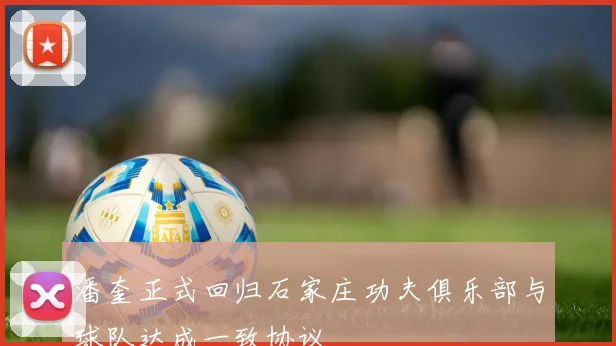 潘奎正式回归石家庄功夫俱乐部与球队达成一致协议