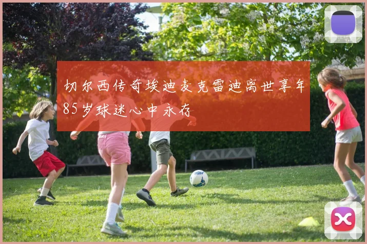 切尔西传奇埃迪麦克雷迪离世享年85岁球迷心中永存