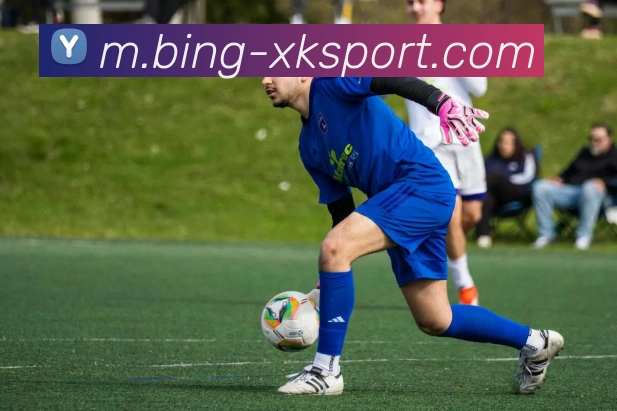 星空体育服务体系